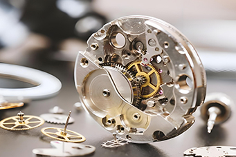 Customize Watch Parts
