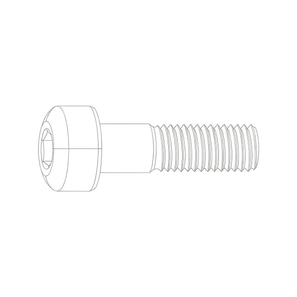 Side profile illustration of a stainless steel socket head cap screw showing head, internal hex drive, shoulder and threaded shank