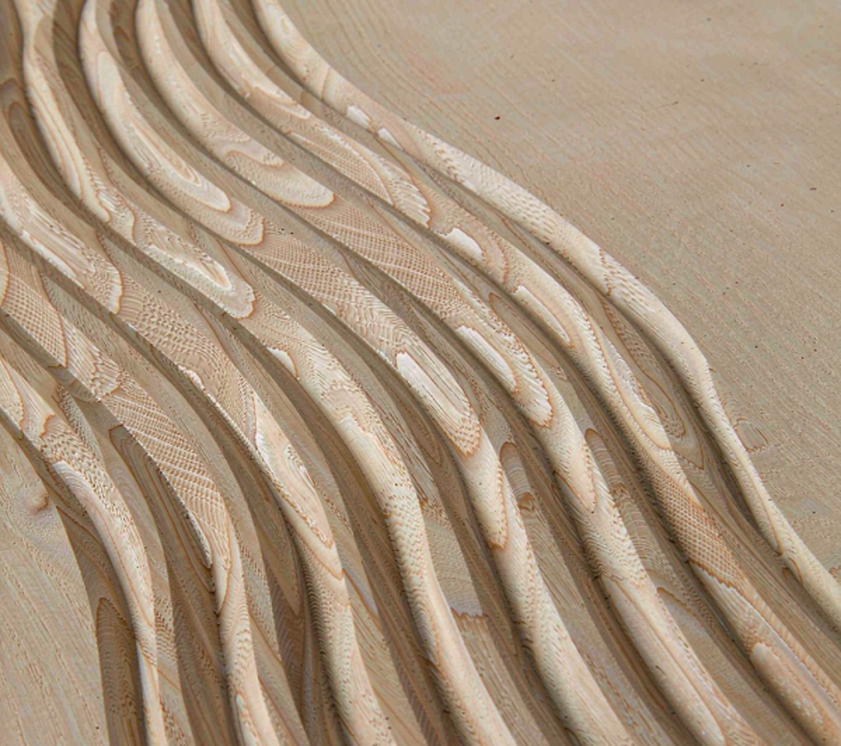 Close-up of a CNC 3D carved wooden panel showing flowing carved relief curves and fine toolpath texture