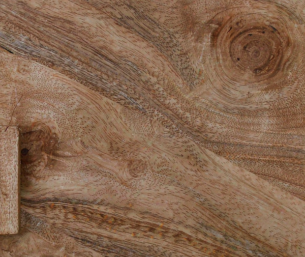 Extreme close-up of natural wood grain showing directional grain lines, growth rings and an end grain section at one edge