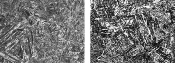 Cutting Performance Comparison