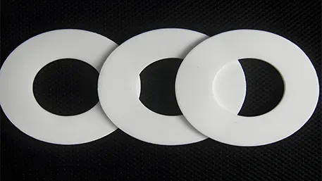 Customized Polyethylene Gasket