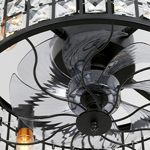 Transparent Fan Blades in Home Appliance
