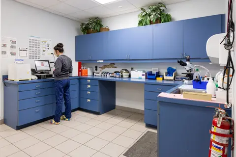 Materials Testing Laboratory with Advanced Equipment