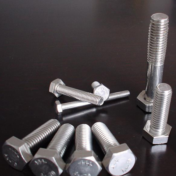 Various Specifications of Stainless Steel Screws